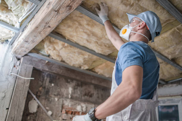 Best Insulation for Specific Applications in Fennville, MI