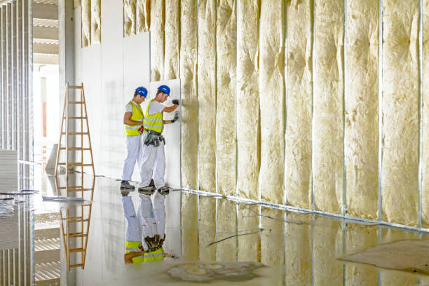 Best Residential Insulation in Fennville, MI